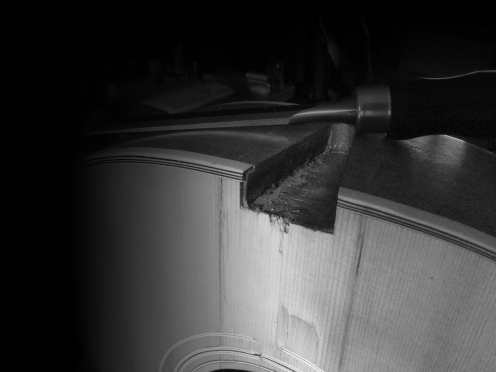 Slideshow Image 4
